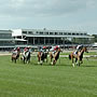 Tampa Bay Downs