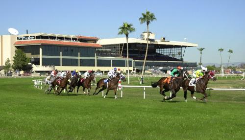 TwinSpires Blog: Carryover action at Turf Paradise