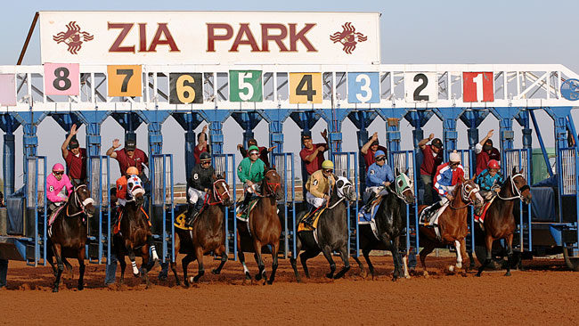 Zia Park Horse Track in Hobbs, New Mexico